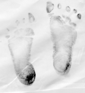 Zions foot prints